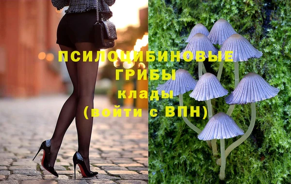 соль курить ск Алзамай