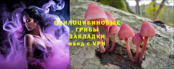 спиды Алексеевка