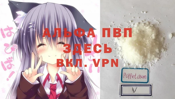 спиды Алексеевка